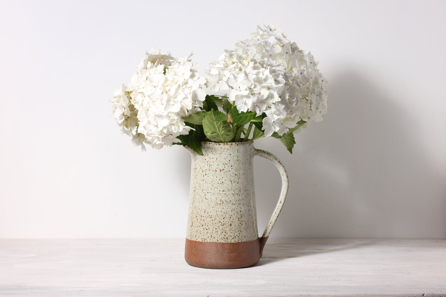 Water Jug