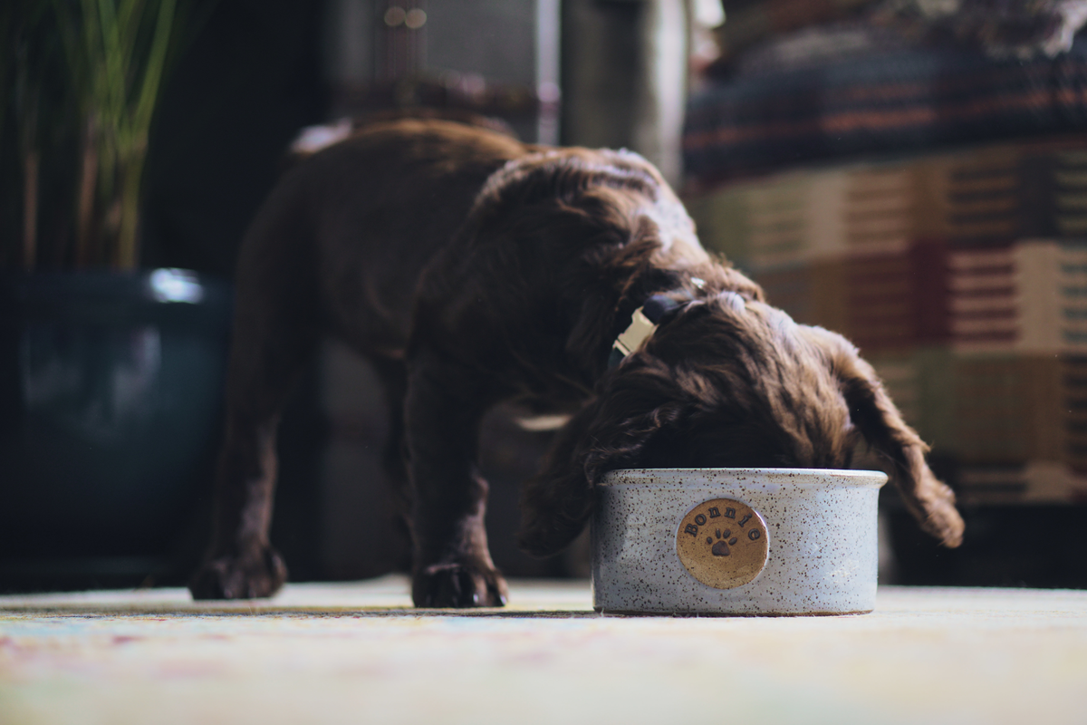 Handmade Pottery Shop: Mugs, Bowls, Plates & Kitchenware – The Little ...