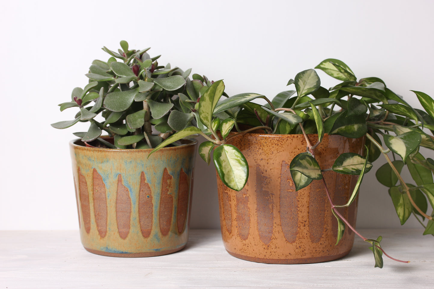 Plant Pots