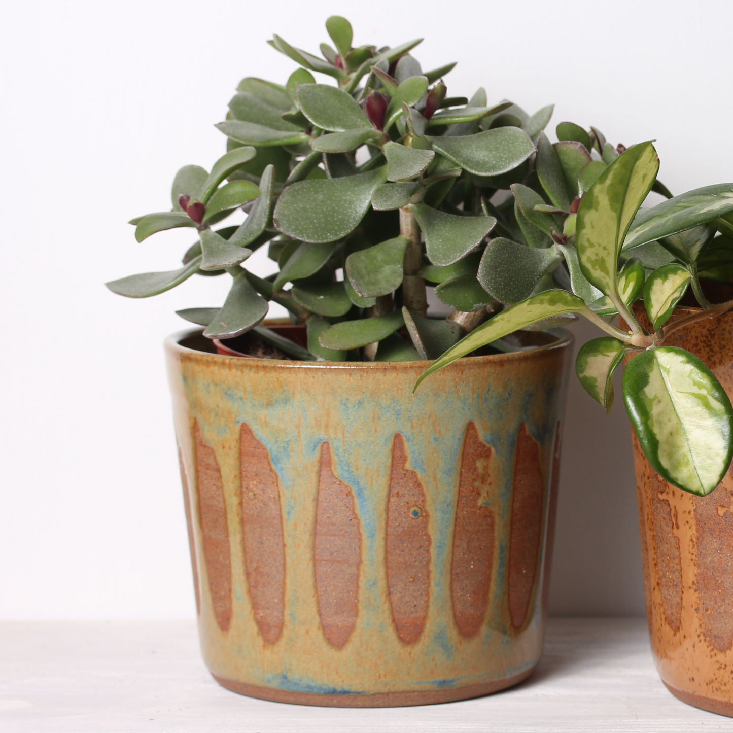 Plant Pots