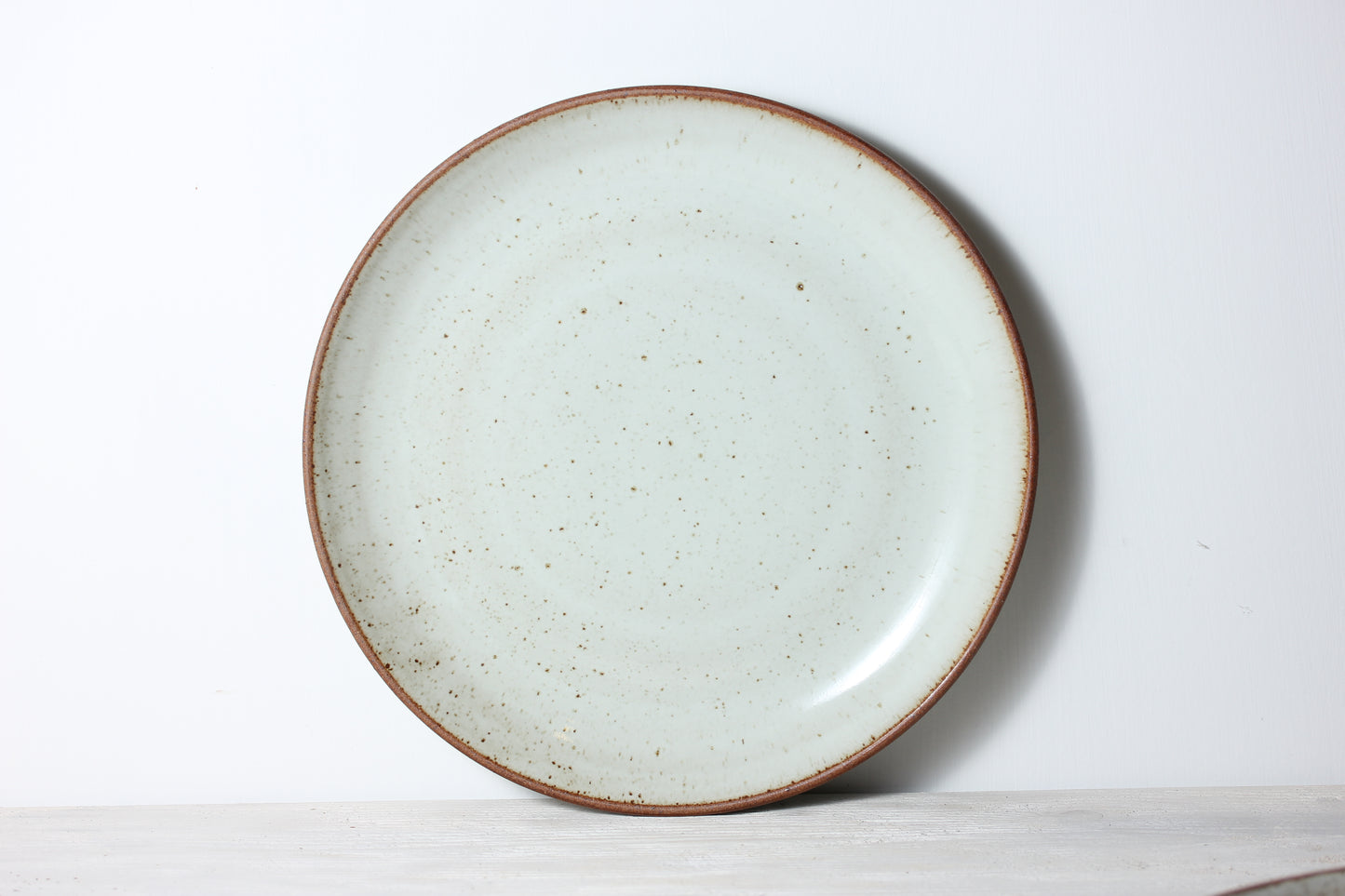 Set 4 Dinner Plates - #3 Seconds Sale