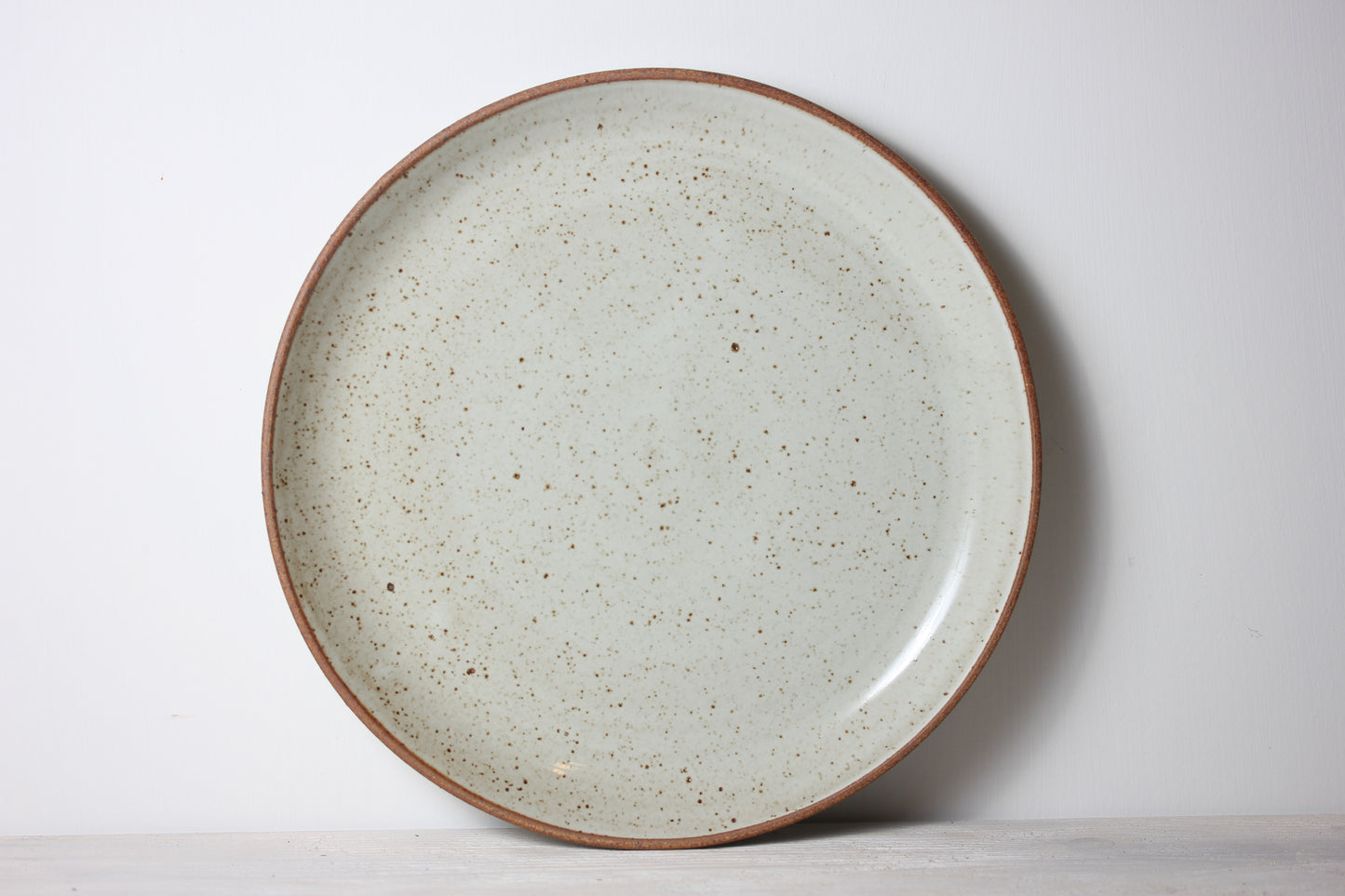 #155 Seconds Sale - Dinner Plate